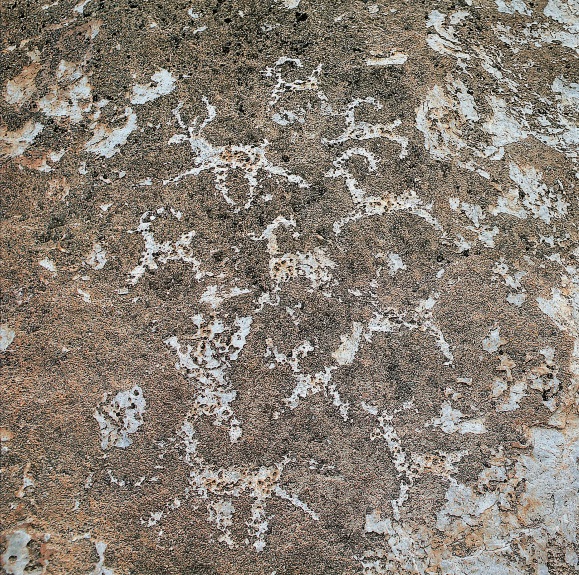 祁连山岩画群羊图